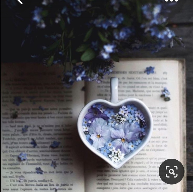 Screenshot_20230731_233408_Pinterest