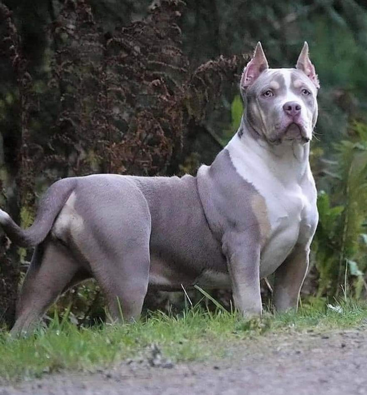 C2DF943A-E5C6-4541-BBAA-318A66BEF9F6