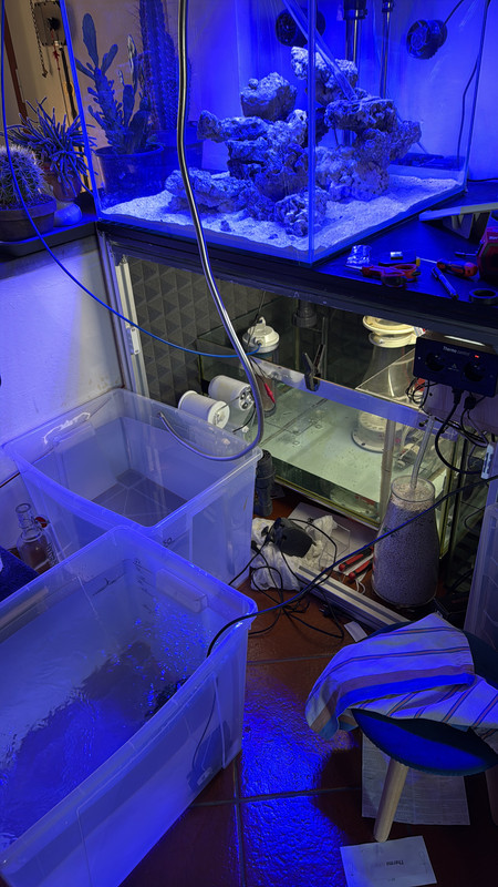 C06E0F87-2CCC-40DB-AA1C-3B820192E278