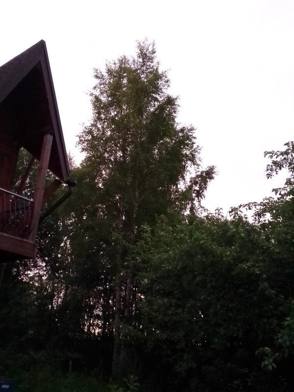 отпуск 6 мар