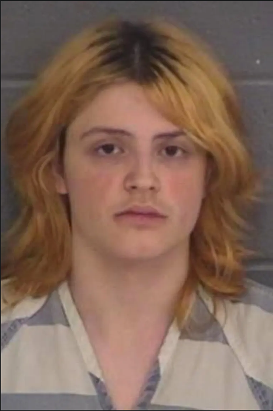 Screenshot 2024-09-05 at 16-19-54 GA school shooter mug shot released