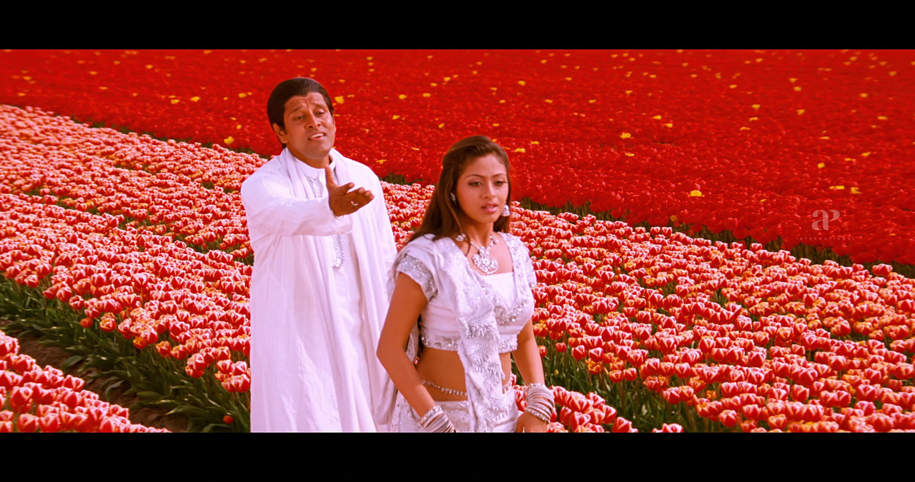 VideoCapture_20241122-195034