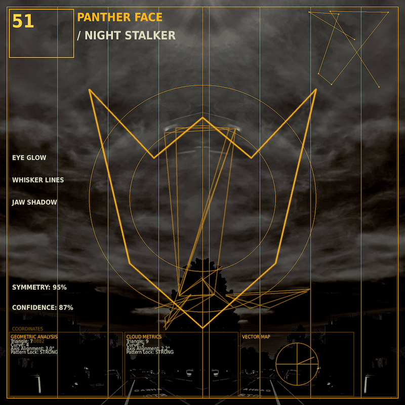 Panther face