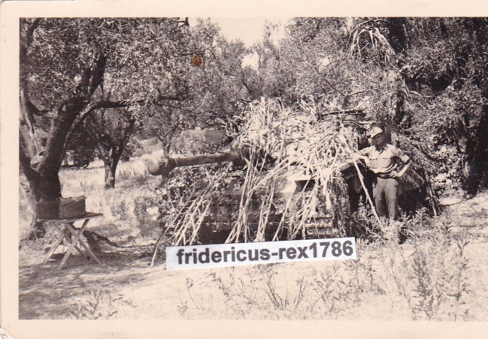 Sturmgeschütz 1.Stug Abt der 1.Pz Div Frankreich 1942 camo