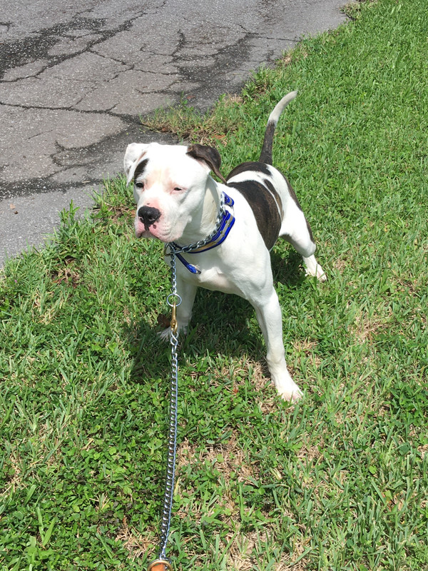 A61153B0-E68B-4E93-9D6F-8305A0E406FB