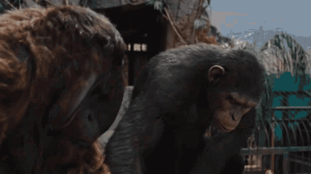 IMG-0582.gif