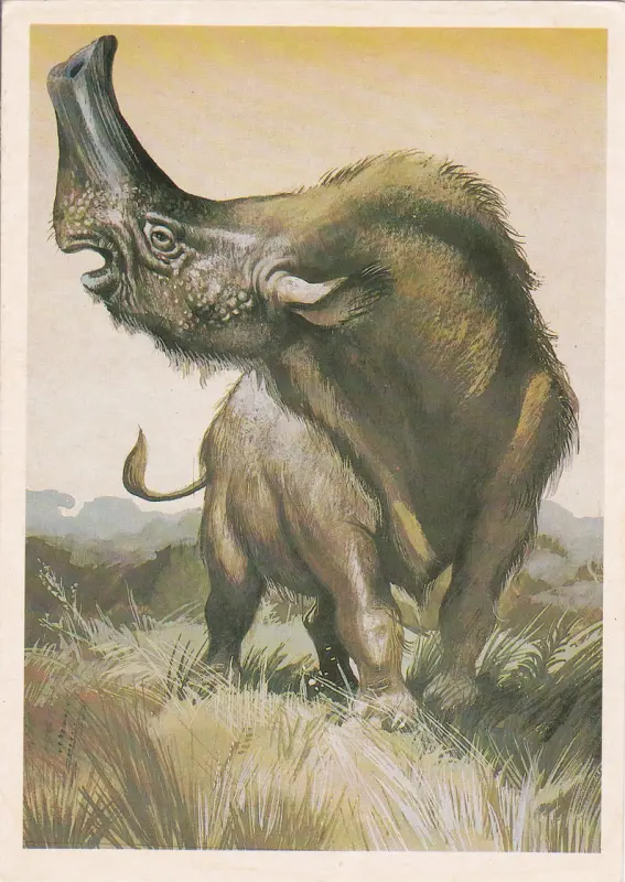 il_794xN.1318754878_8eko