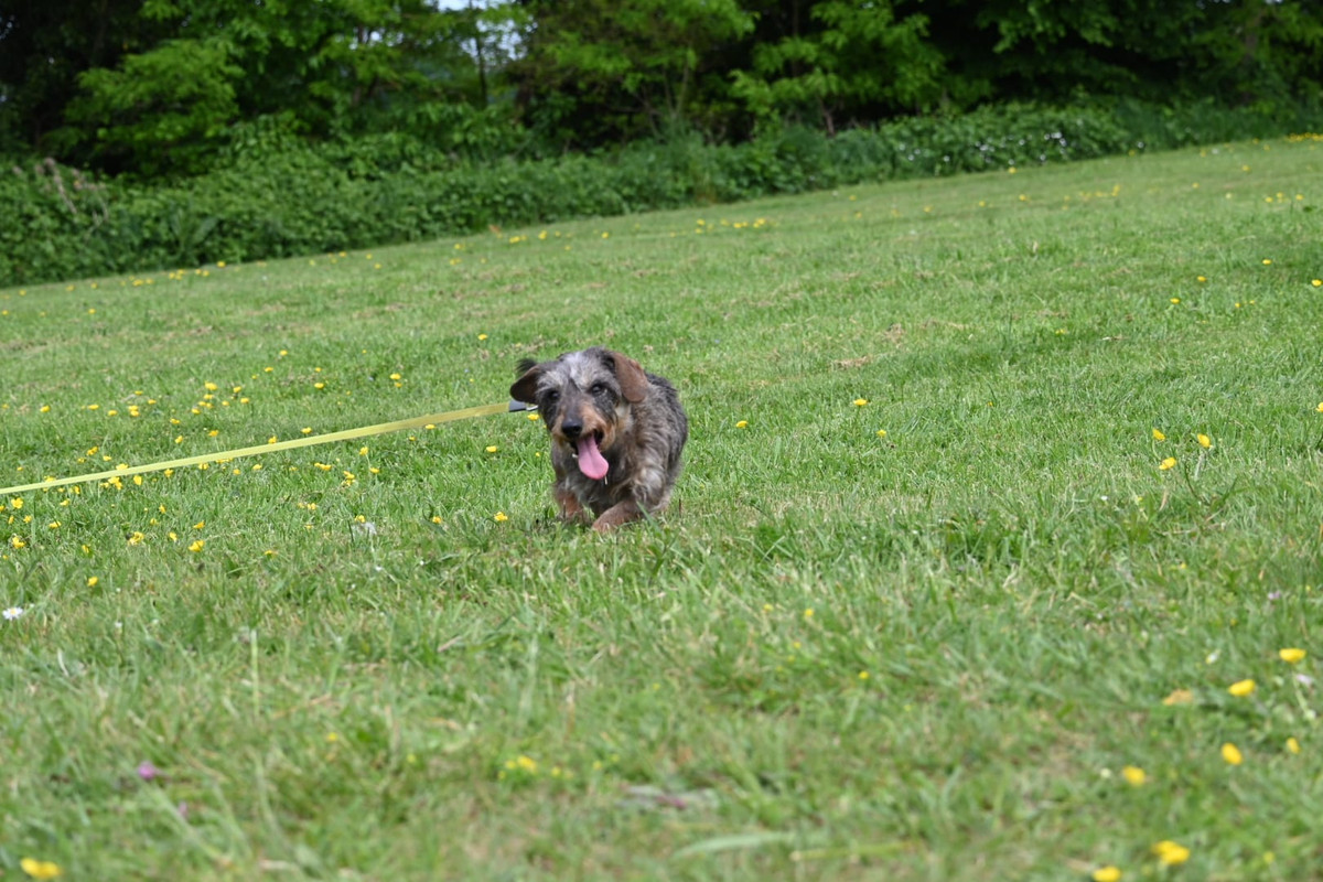 [Image: IMG-20250501-WA0049.jpg]