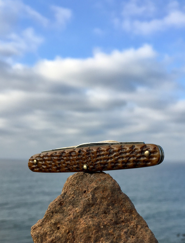 6A37584C-E616-4D14-AD1F-8C4962990FFB