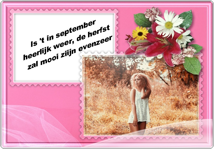 Klik op de afbeelding om de link te volgen
