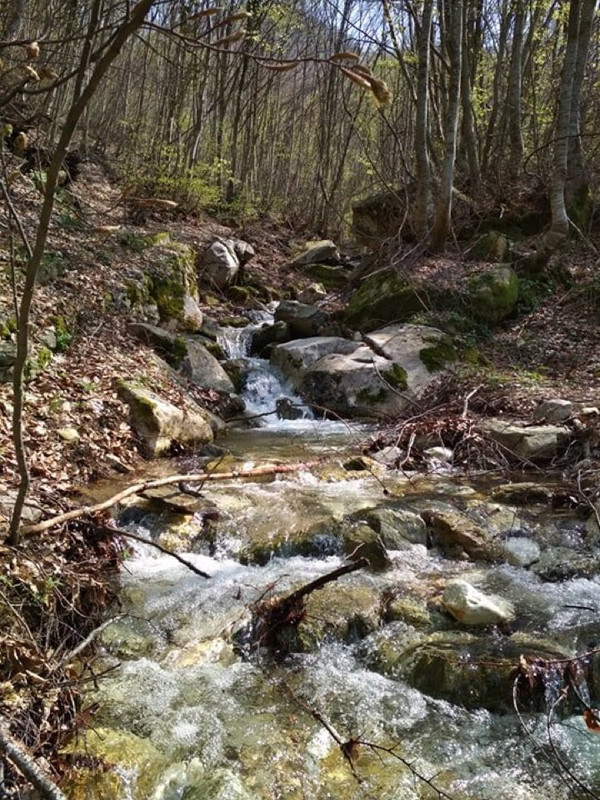 376021FD-5ABE-43C7-BE3E-6B6F95924118