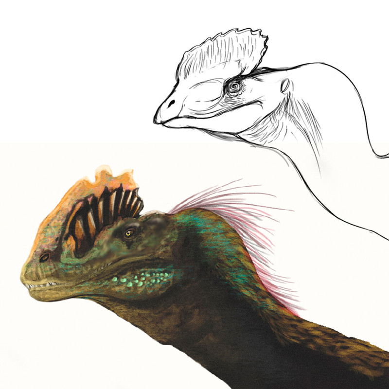 cesar-camilo-julian-caballero-dilo-camilo-02