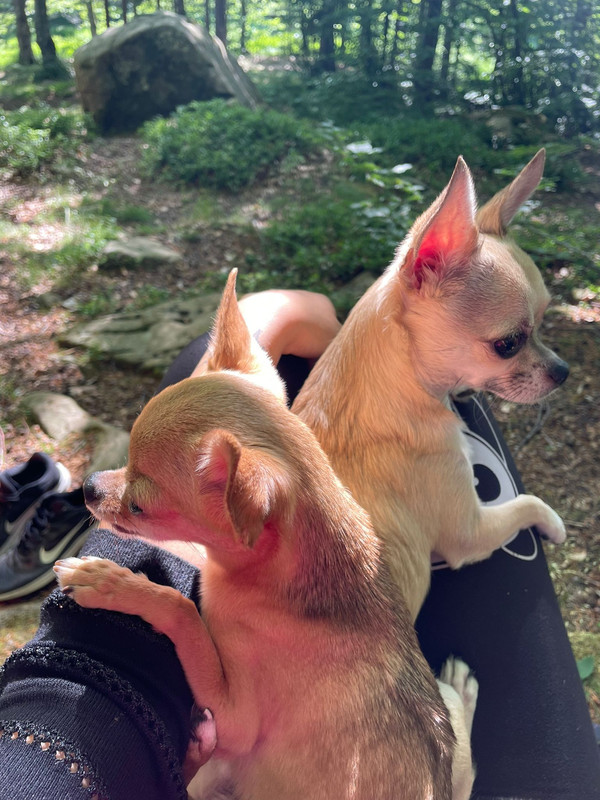 8DC59DC1-AA19-4B9E-8827-3BE2CB78AE5F