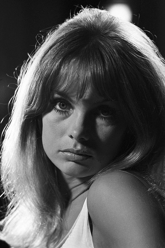 jean_shrimpton_md68