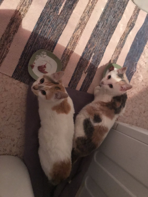 8A874AA1-8E54-4E7F-ADCC-B9A315DCDF12