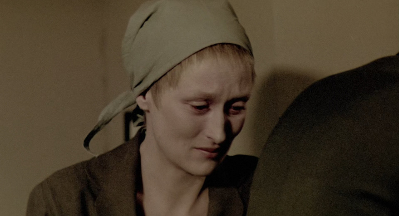 Sophie's Choice 1982 (1080p x265 10bit Tigole).mkv_snapshot_01.4