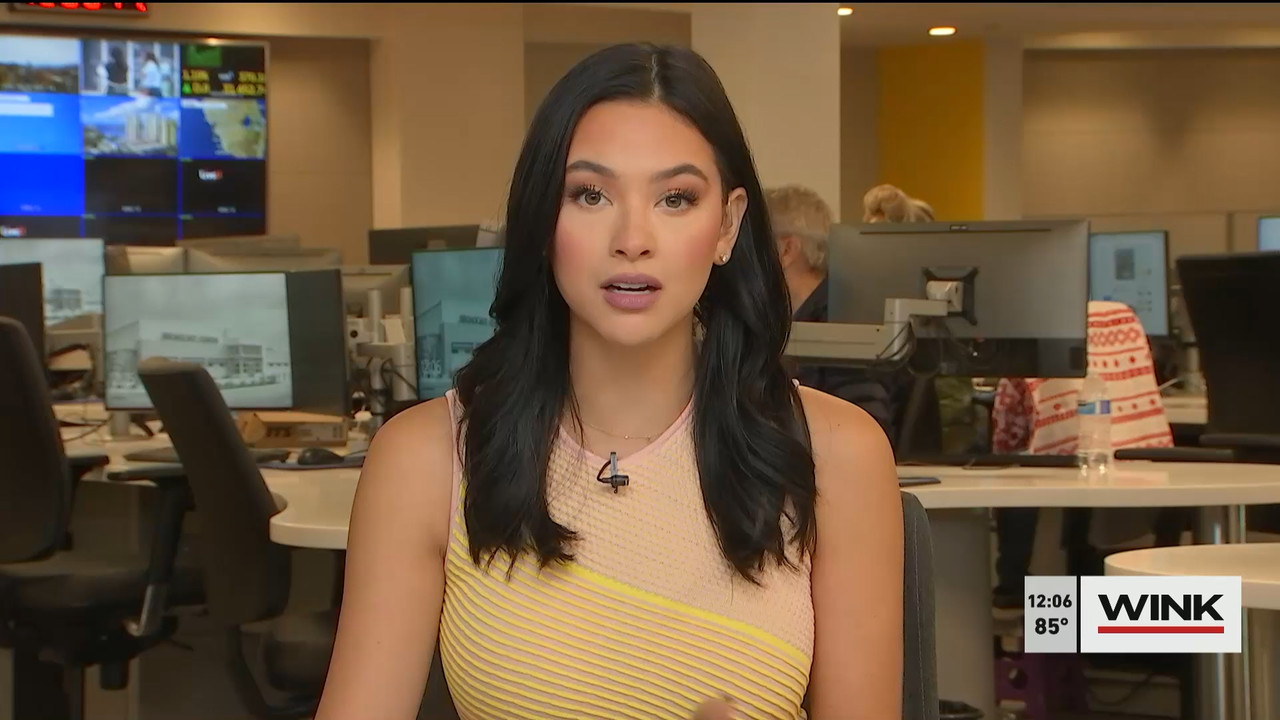 10.24 - 17.00.00 - The WINK Noon News  ᴺᵉʷ. Midday news update..ts_snapshot_12.37.638