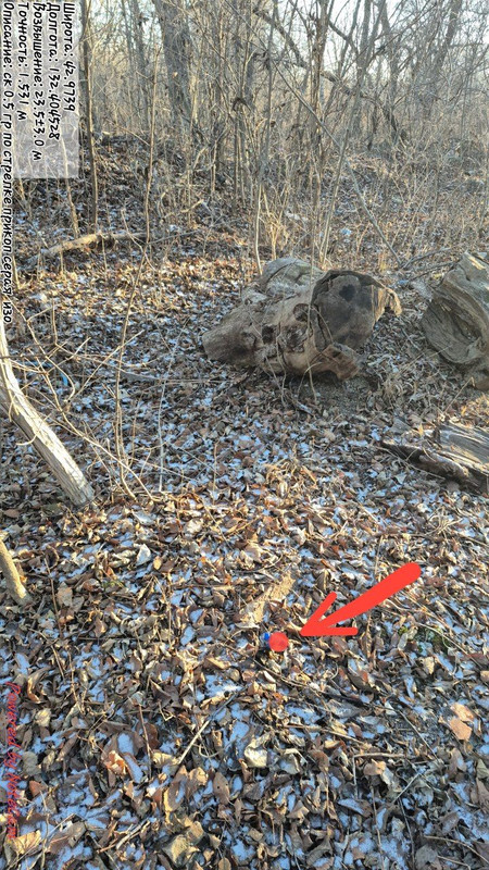 IMG 20251128 171330 782