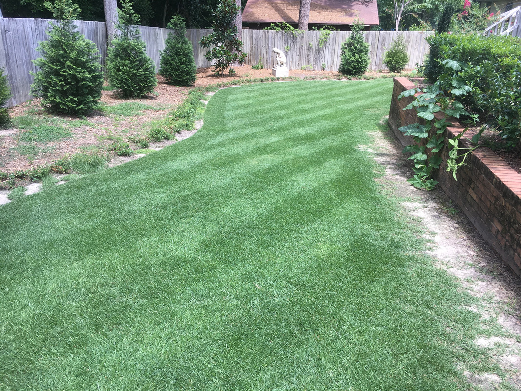 2934C546-A35E-4061-A53D-A92B2A610A52