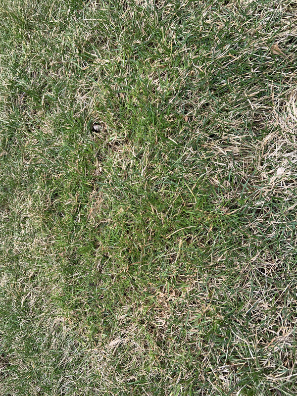 3B1A2F61-2704-4115-A24D-22FBE48A95F4