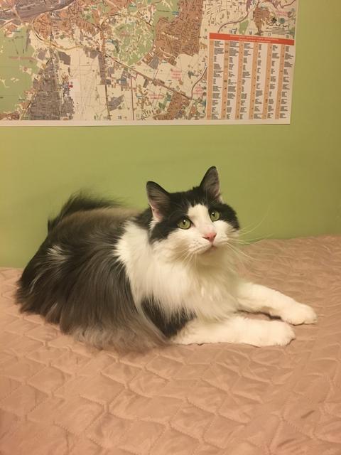 228-B6-AA7-A0-B8-40-F5-83-F5-FE978614-C5