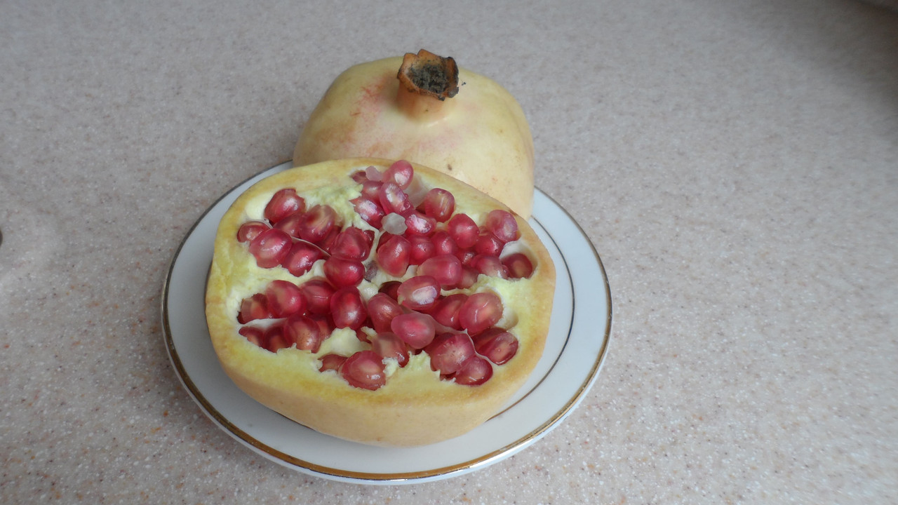 Yellow Pommegranit 2