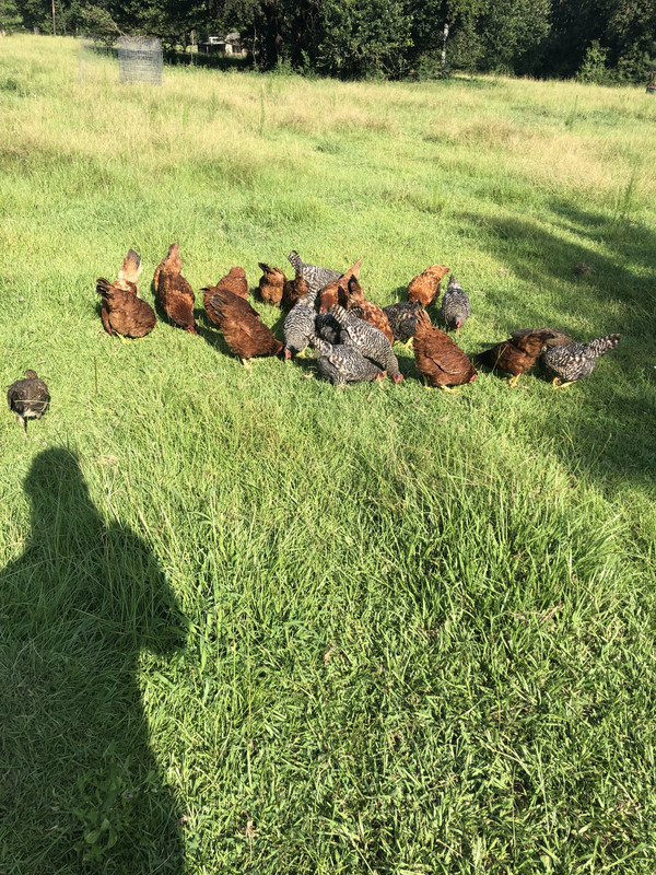 4F1969F3-DE27-4DBA-A55C-B3ABEEA85A2F