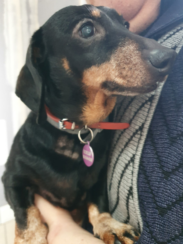 [Image: 20220305-115107.jpg]