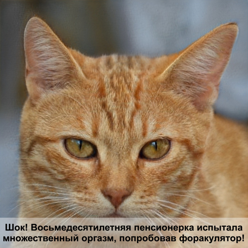 порода кошек с леопардовым окрасом