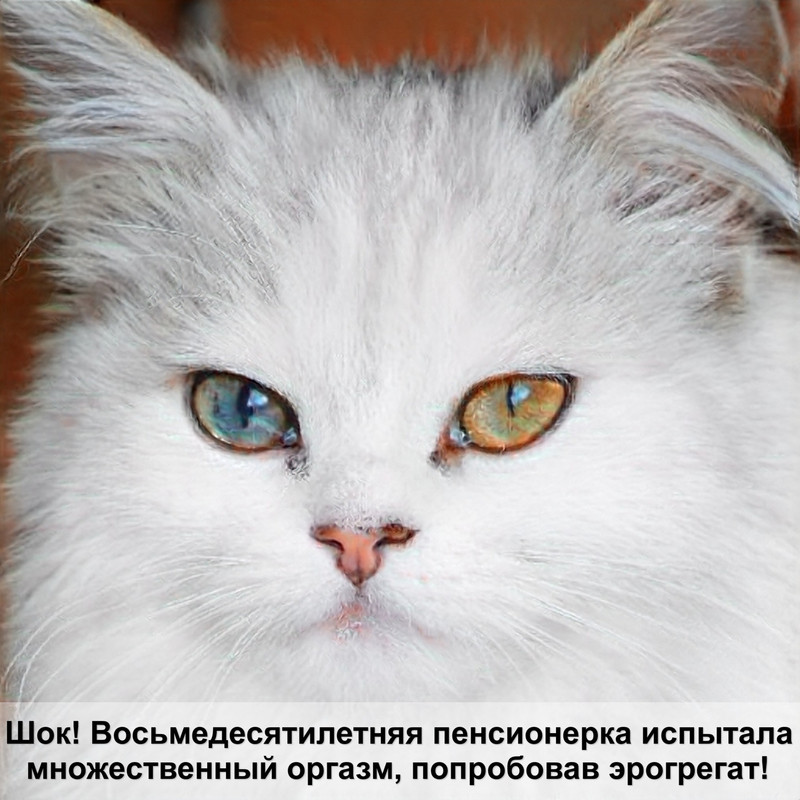 кошка чешется лезет шерсть