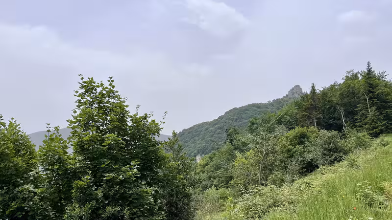 https://i.postimg.cc/rsWwxkhC/IMG-4126.avif