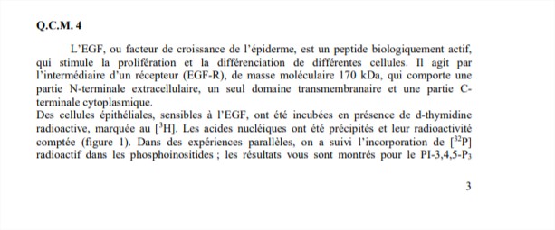 poly UE8 complet 2018-19 - Google Chrome