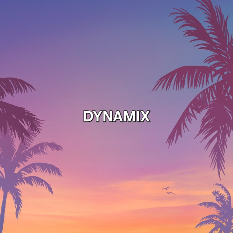 P-B | DynamixOG