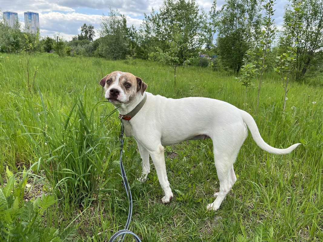 1E490105-9CA0-4746-89E0-69249144ADDB