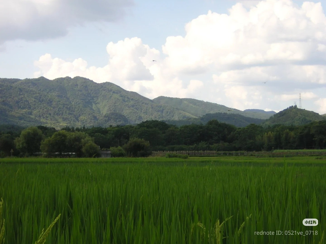 photo 15 2025 12 24 16 22 41