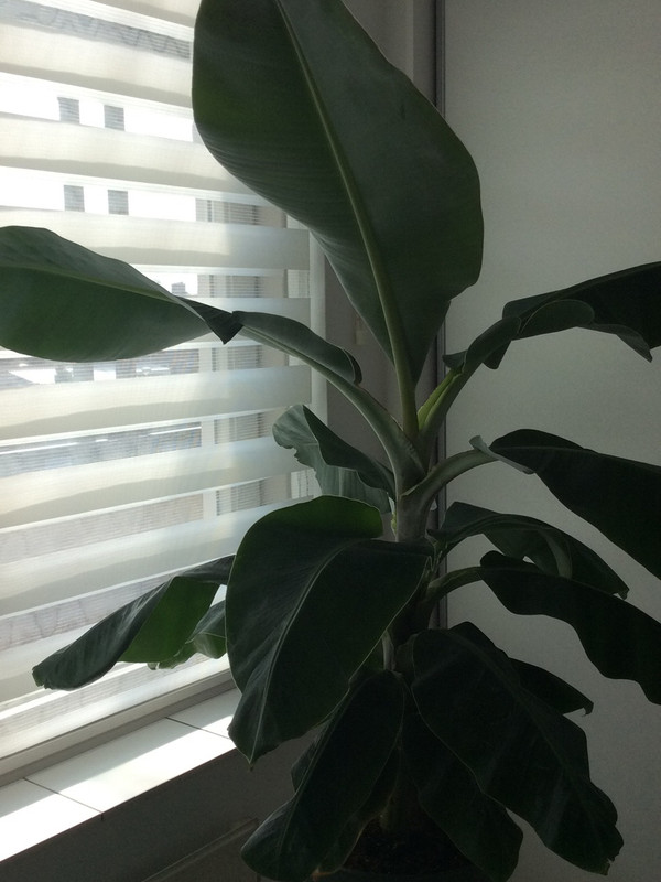 25928A94-86C4-42CD-B1B1-DF1D7AB6EC65