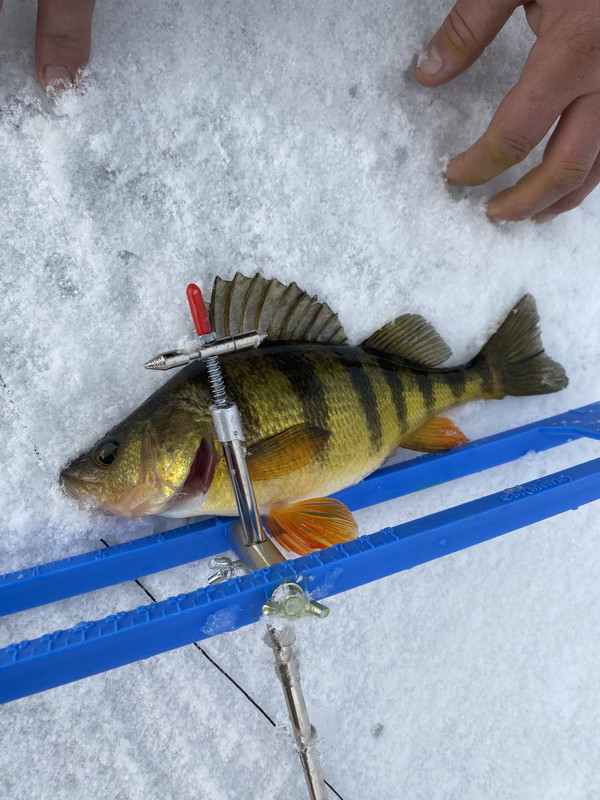 6B898E8E-4D70-4687-949A-CAC333719233