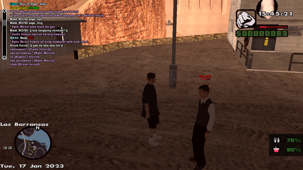 samp-17-01-2023-00-45-22.png