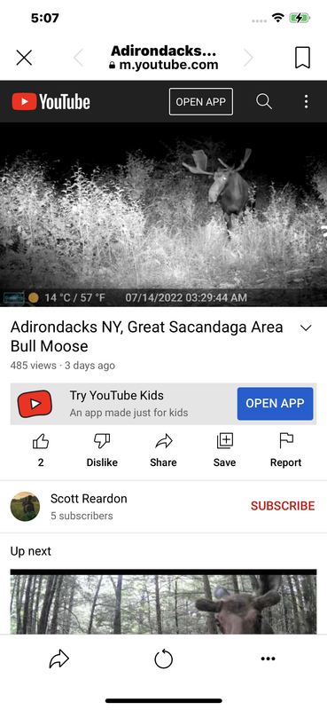 87EF2FB2-5D32-4BE9-BD98-0080C485F3EF