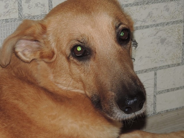 image (4)