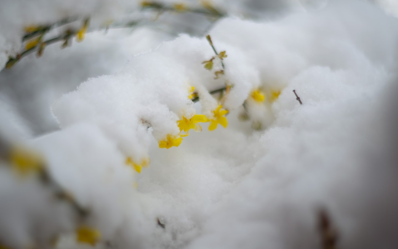 IMG-0b04608648e66fcd6bb7fb9b6225db02-V