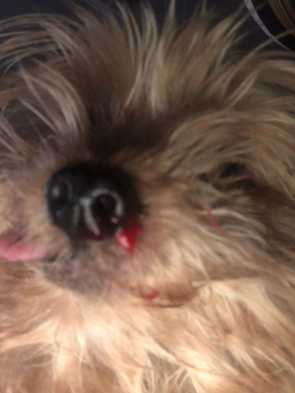 A534F32F-050D-44B6-8347-8F5C18D21DEB