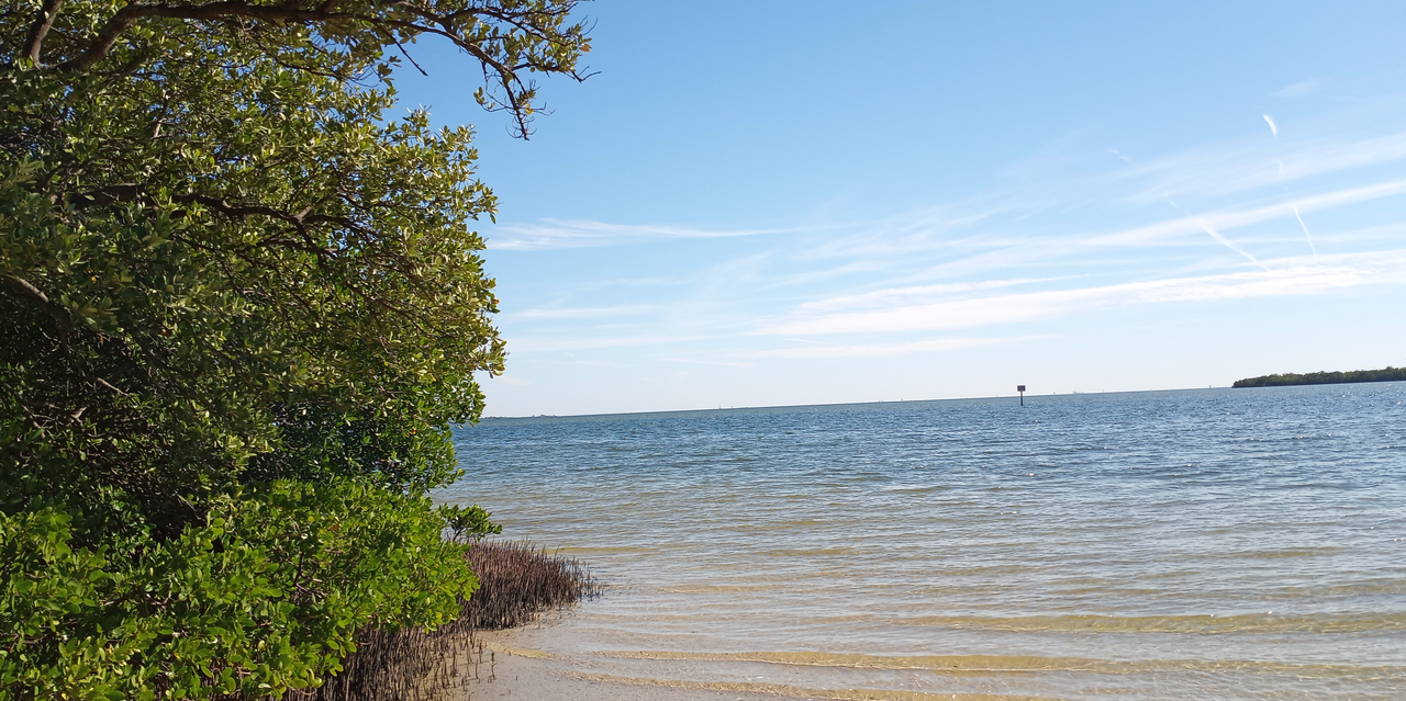 [Image: Gandy-Beach-Tampa-Florida1.png]