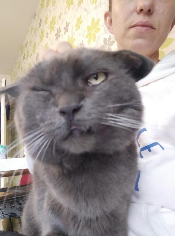 EA9EA7FB-01FA-4878-ADAD-6CAFA2F44D99