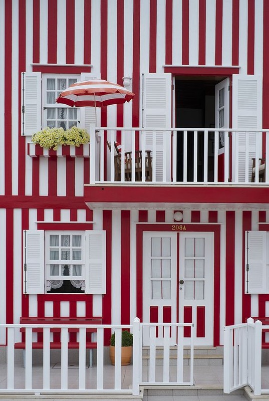 redwhitestripedgouse.jpg