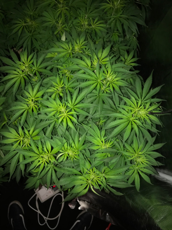 91006FB8-BE44-47B0-AE65-6AF49D265922