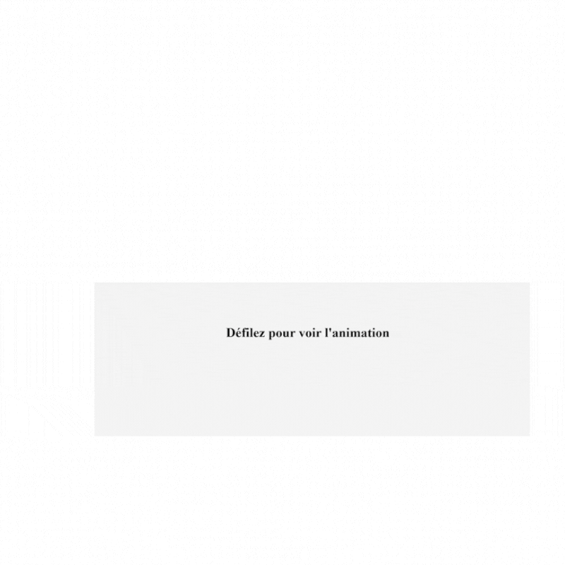 animation avec une interaction