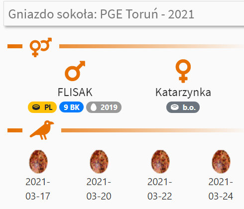 WebCam Toruń PGE. Male Piernik (2 AD (2015) & Female Katarzynka (?) vanaf 21 aug. Man 9 / BK( 2019) & Vrouw Katarzynka (?) - Pagina 2 Przechwytywanie-w-trybie-pe-noekranowym-21-04-2021-003909