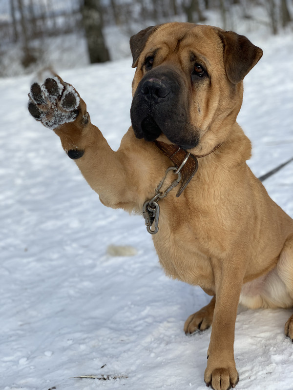 69645ED7-BEF5-484C-9521-2151C0AD6980