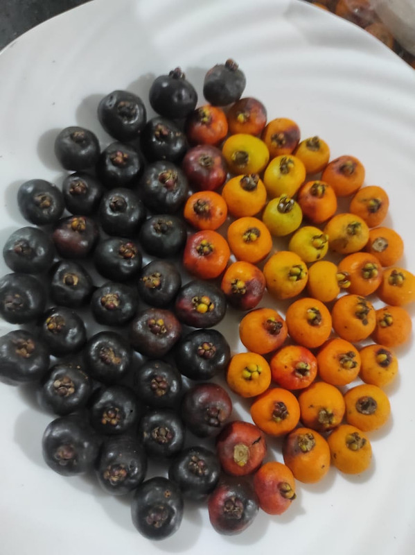 WhatsApp Image 2021-07-16 at 01.11.57 (1)